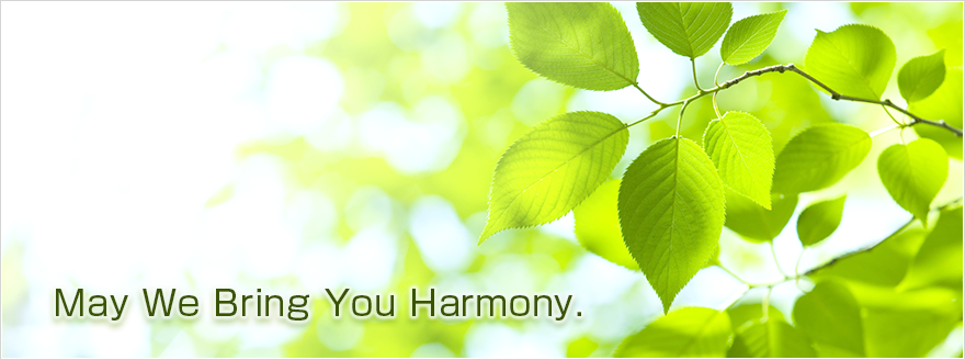 大阪、北浜・堺筋本町の【招和法律事務所】　身近で頼れる法律事務所を目指します